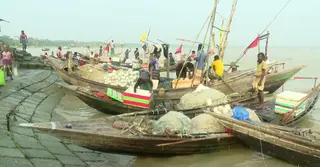 ইলিশের জেলা হয়েও স্বাদ থেকে বঞ্চিত ভোলার স্থানীয়রা, সংকটে জেলে পরিবার